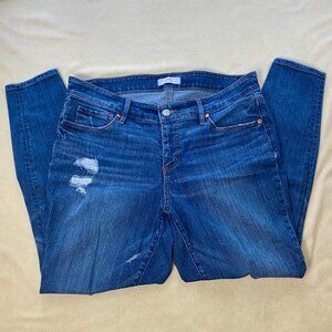 Loft Plus Distressed Women's Jeans EUC